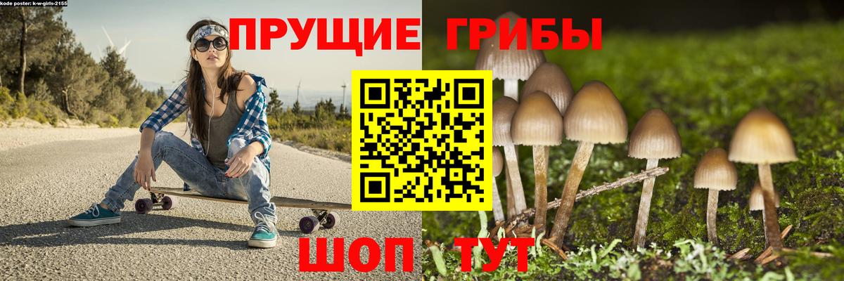 Галлюциногенные грибы Psilocybe Семилуки