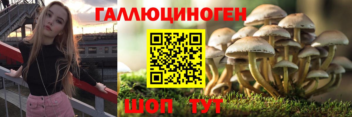 Семилуки  Псилоцибиновые грибы GOLDEN TEACHER  Вход с VPN 